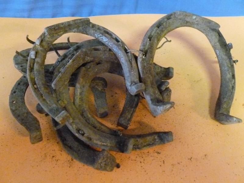 Antique Horse Equipment