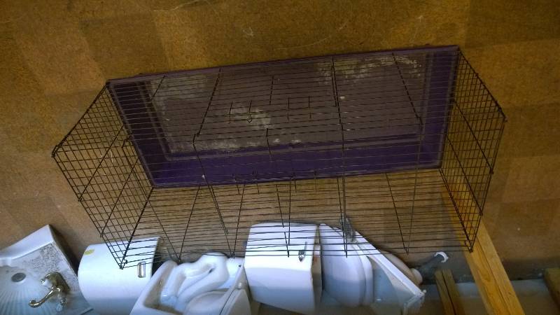lot 19 image: Guinea pig cage