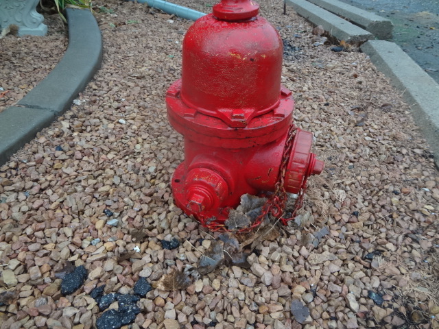 lot 522 image: Short Fire Plug