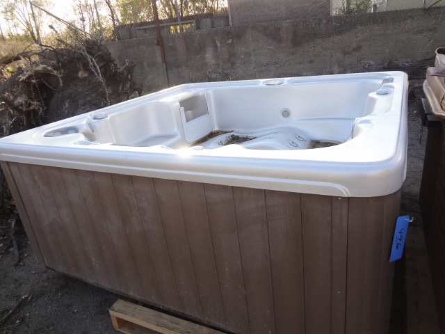 lot 496 image: Hot Tub