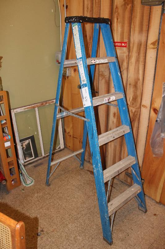 lot 55 image: Model 676 Step Ladder.