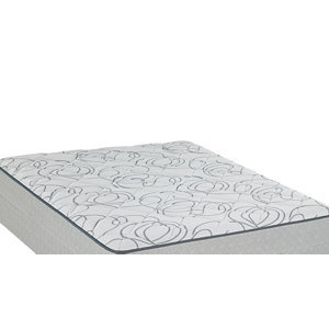 Sealy Tuberose Firm Queen Mattress and Box Spring