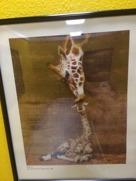 lot 80 image: First Kiss Framed Print