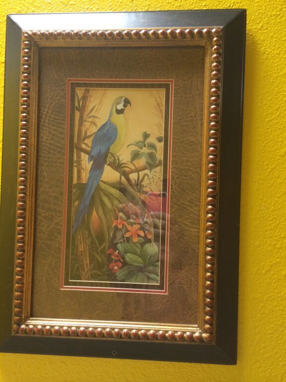 lot 119 image: Framed and Matted Parrot Prints
