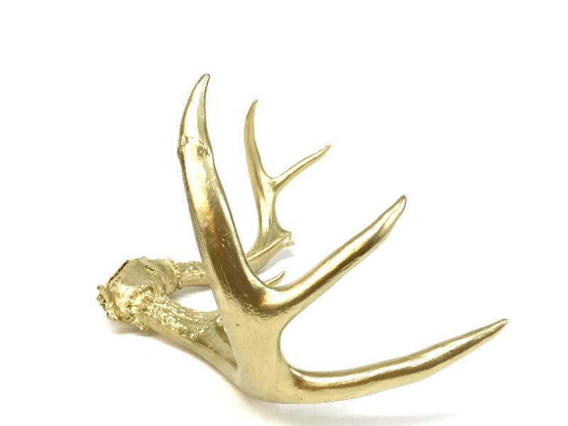 lot 36 image: Large 100% real antler with unique gold gilt decor piece