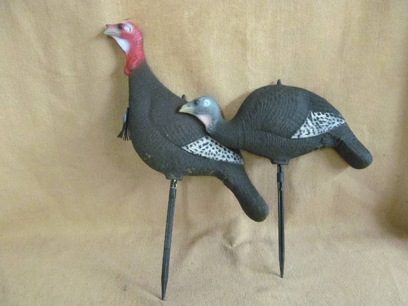 Decoys