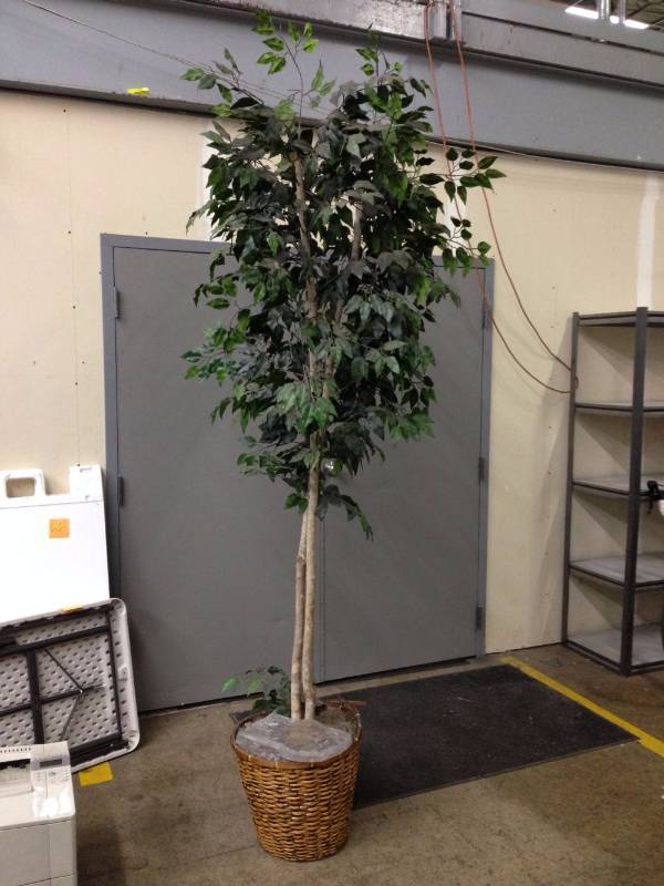 lot 20 image: Fake Tree Measuring Approximately 8...