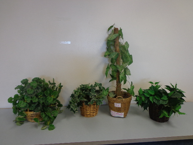 lot 52 image: Artifiacial Plants