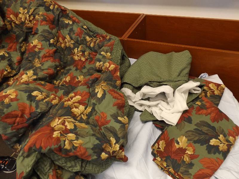 Comforter, Bed Dust Ruffle, Pillow Cases