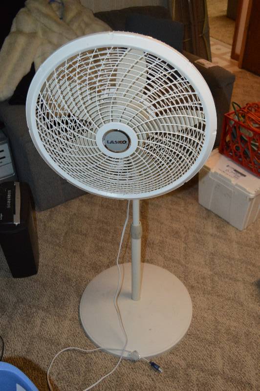 Oscellating Fan