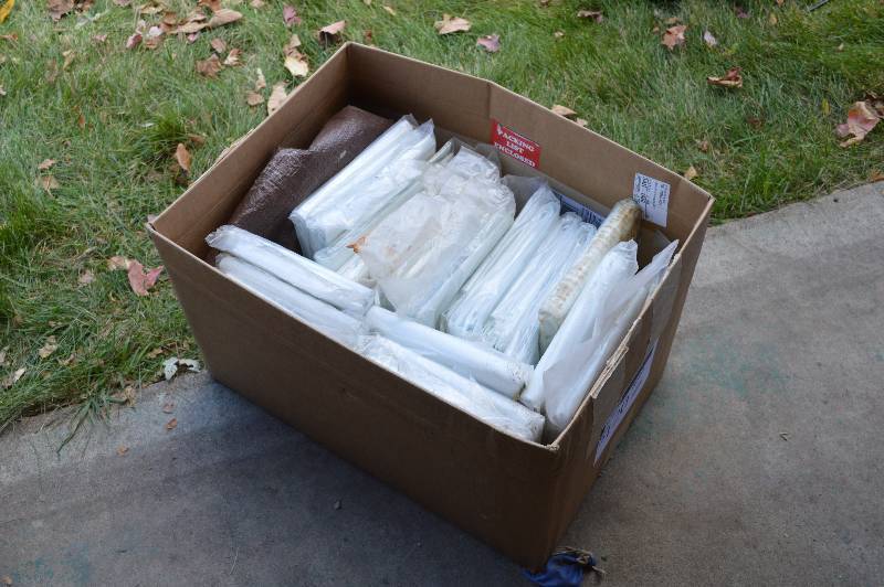 Box of Disposable Strechers (10)