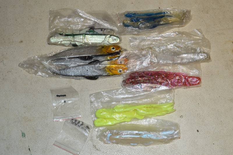 Large Body Plastic Lures