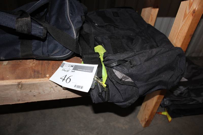 Shelf Lot of Carrying Bags.
