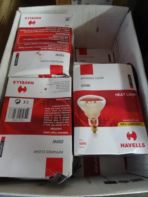 lot 32 image: Infared Food Warmer Heat Lamps Qty 9 250 Watt