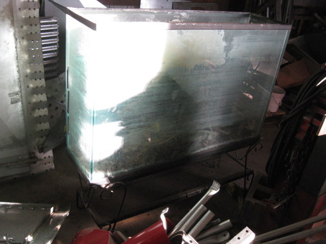 Large Aquarium & Stand