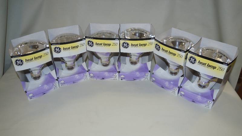 lot 304 image: Box of 6 GE Specialty Heat Lamp 250 Watts 5000 Hours