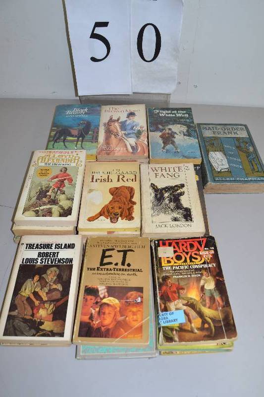 lot 50 image: Young adult paperback books