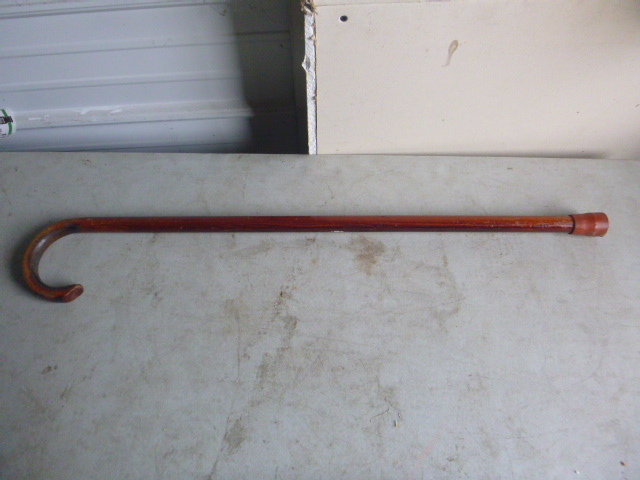 Walking Cane