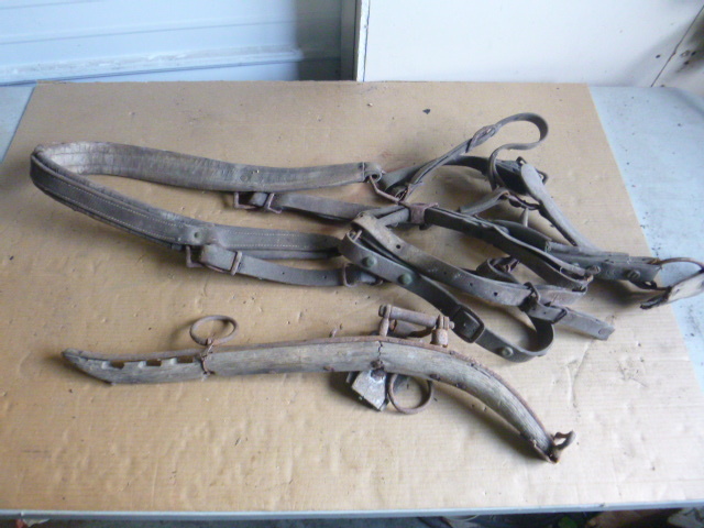 Miscellaneous Horse Items