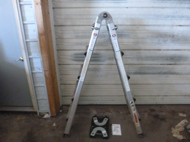 Gorilla Ladder