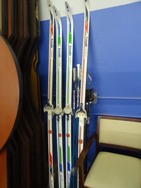 Trax Nowax Cross Country Skis