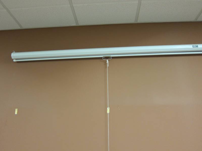 Projector Screen