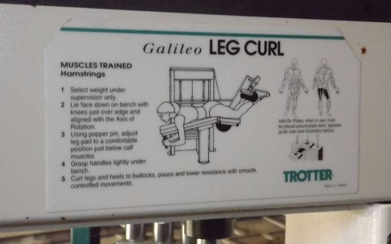 lot 34 image: Galileo Leg Curl Extension Weight Lifting System Exercise Equipment