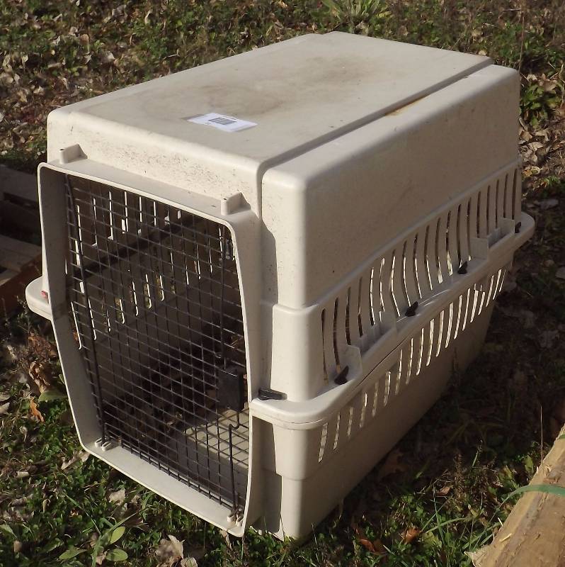 lot 22 image: Dog  Animal Kennel