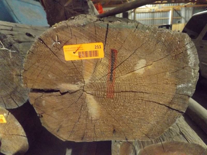 Wood Log
