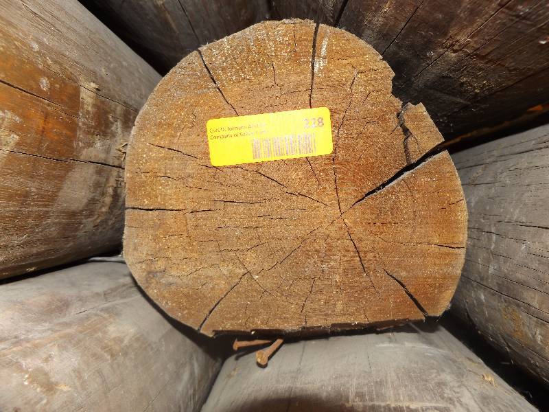 Wood Log