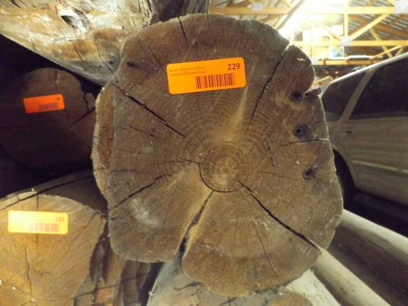 Wood Log