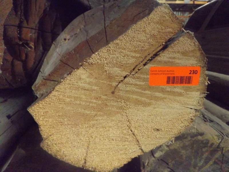 Wood Log