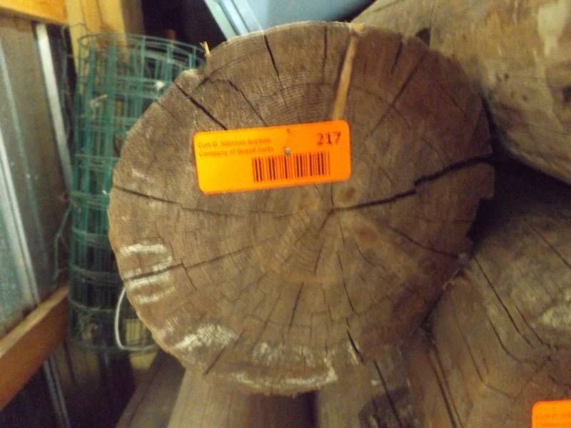 Wood Log