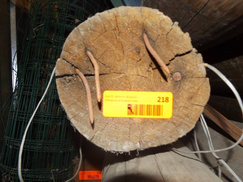 Wood Log