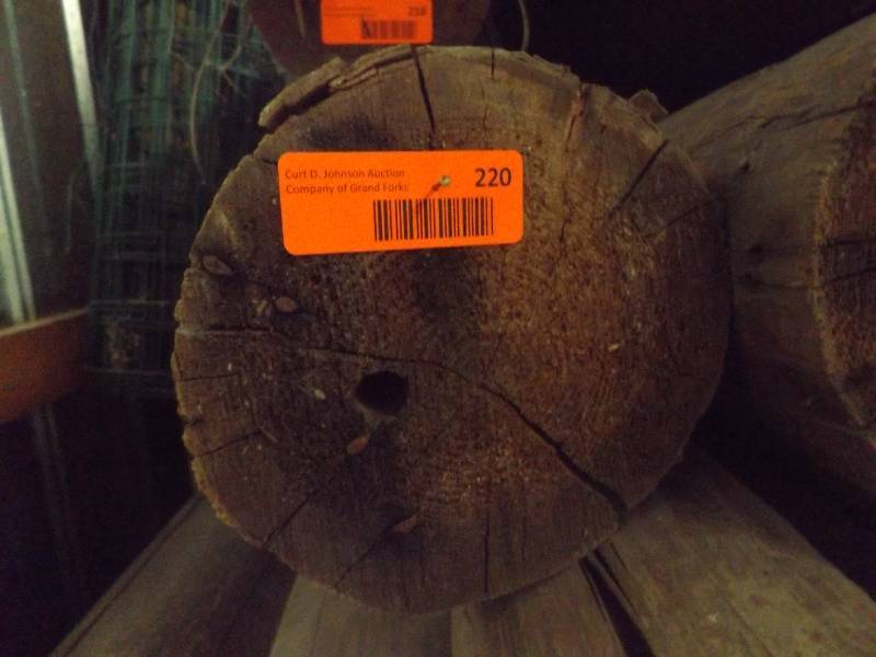 Wood Log