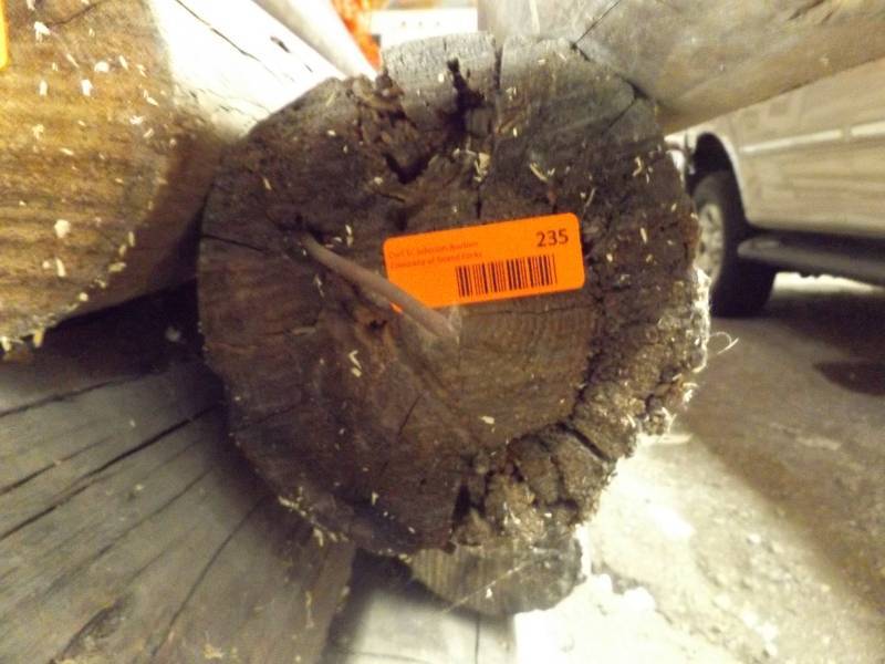 Wood Log