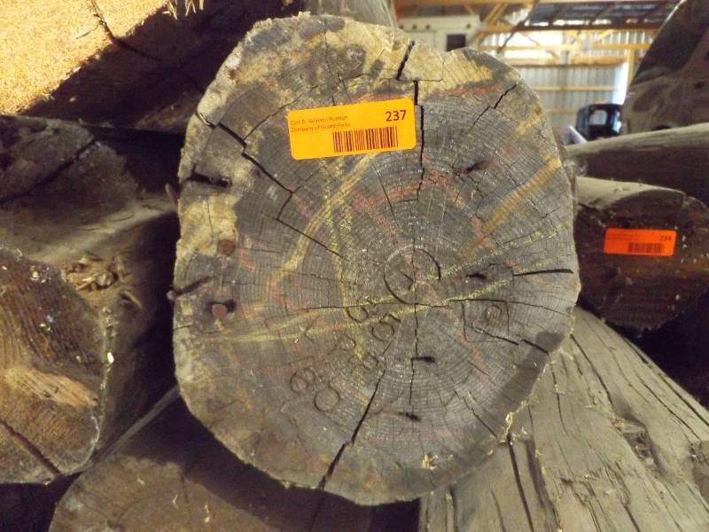 Wood Log