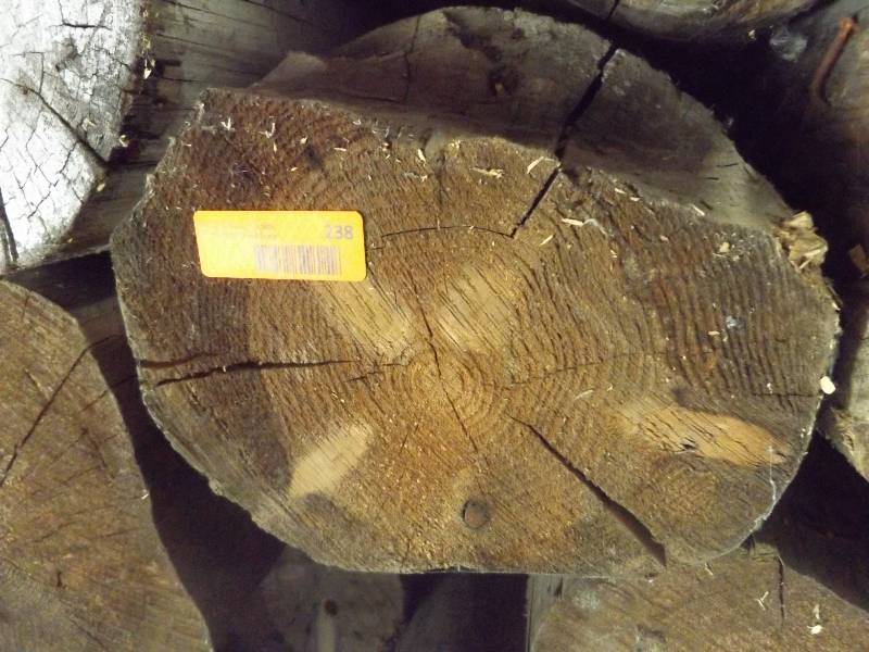 Wood Log