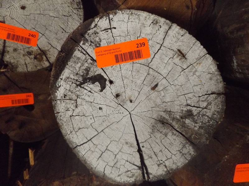 Wood Log