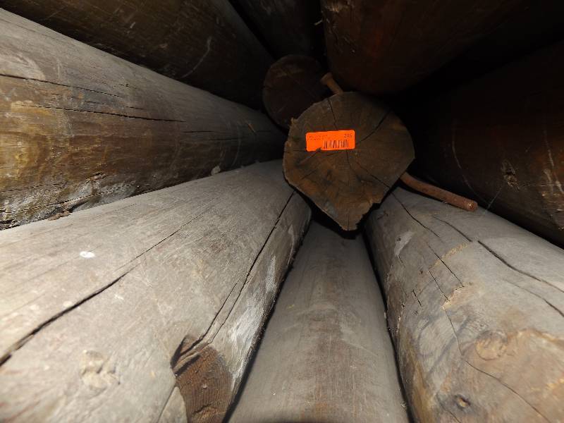 Wood Log