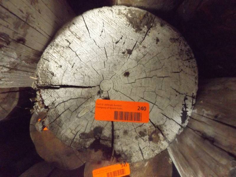 Wood Log
