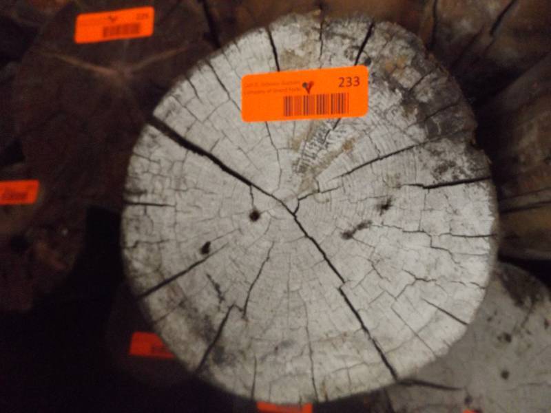 Wood Log