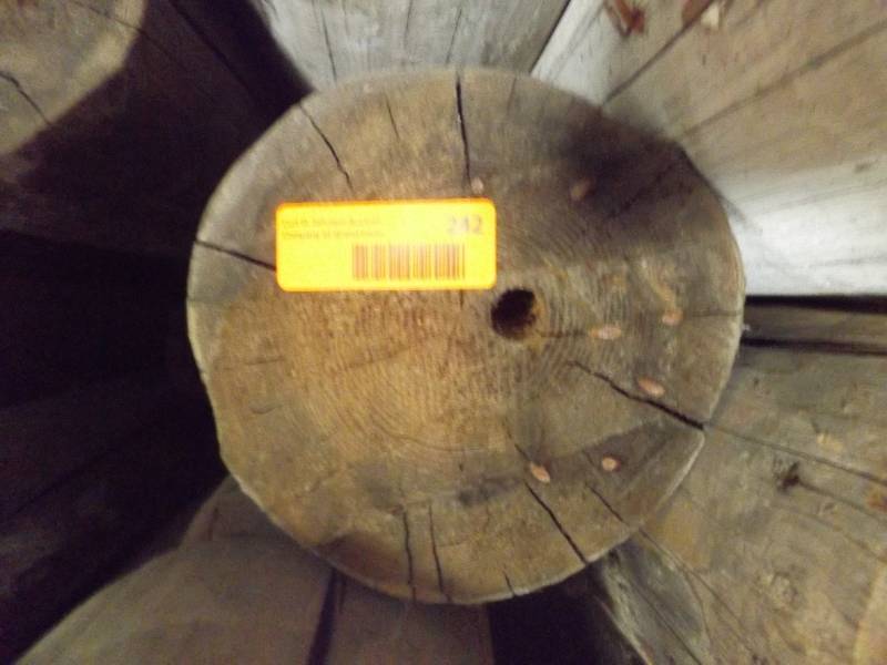 Wood Log