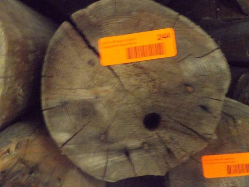 Wood Log