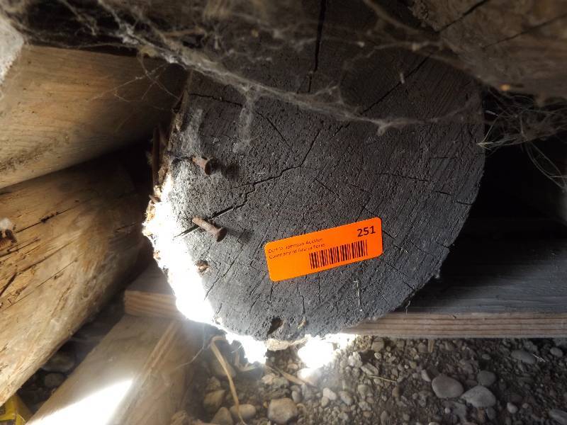 Wood Log