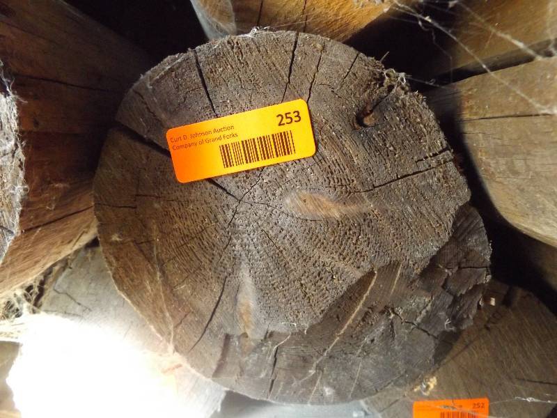 Wood Log