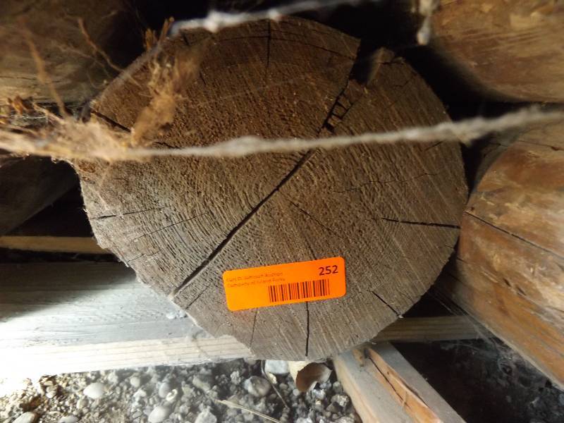 Wood Log