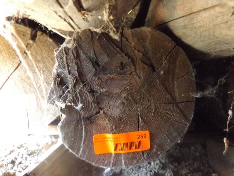 Wood Log