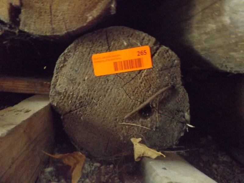 Wood Log