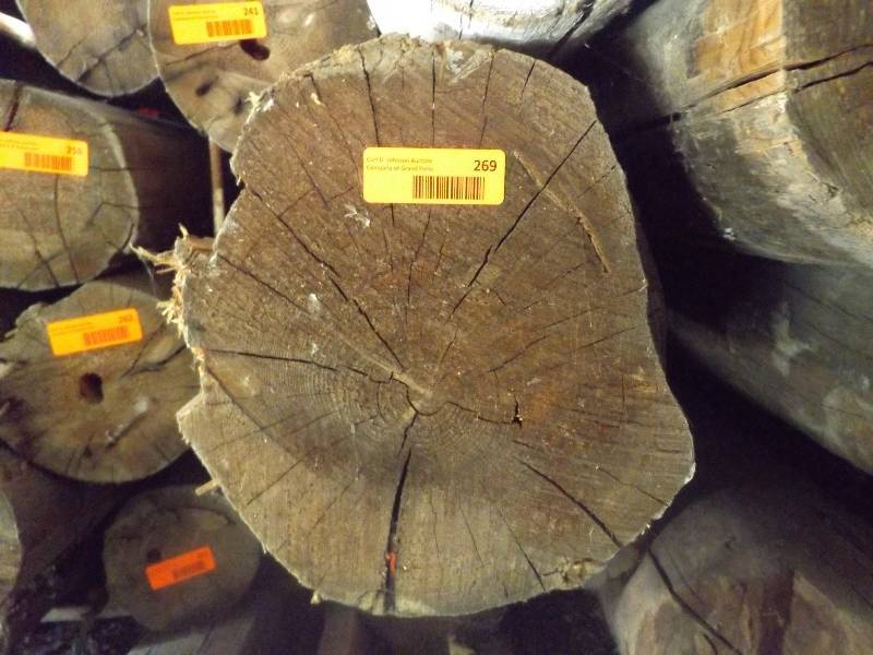 Wood Log